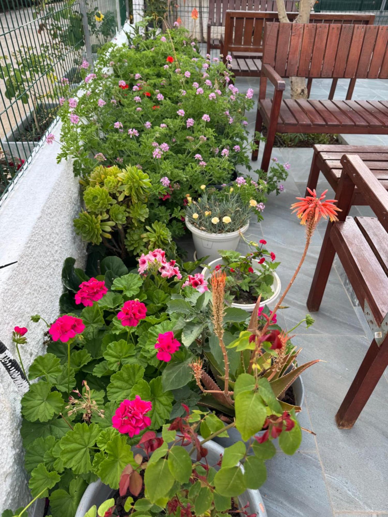 Central Garden Residence Sofia - Free Parking Ksamil Dış mekan fotoğraf